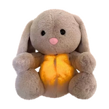 Calming Cuddly Toy