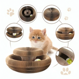 Cat Scratch Toy