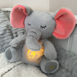 Calming Cuddly Toy